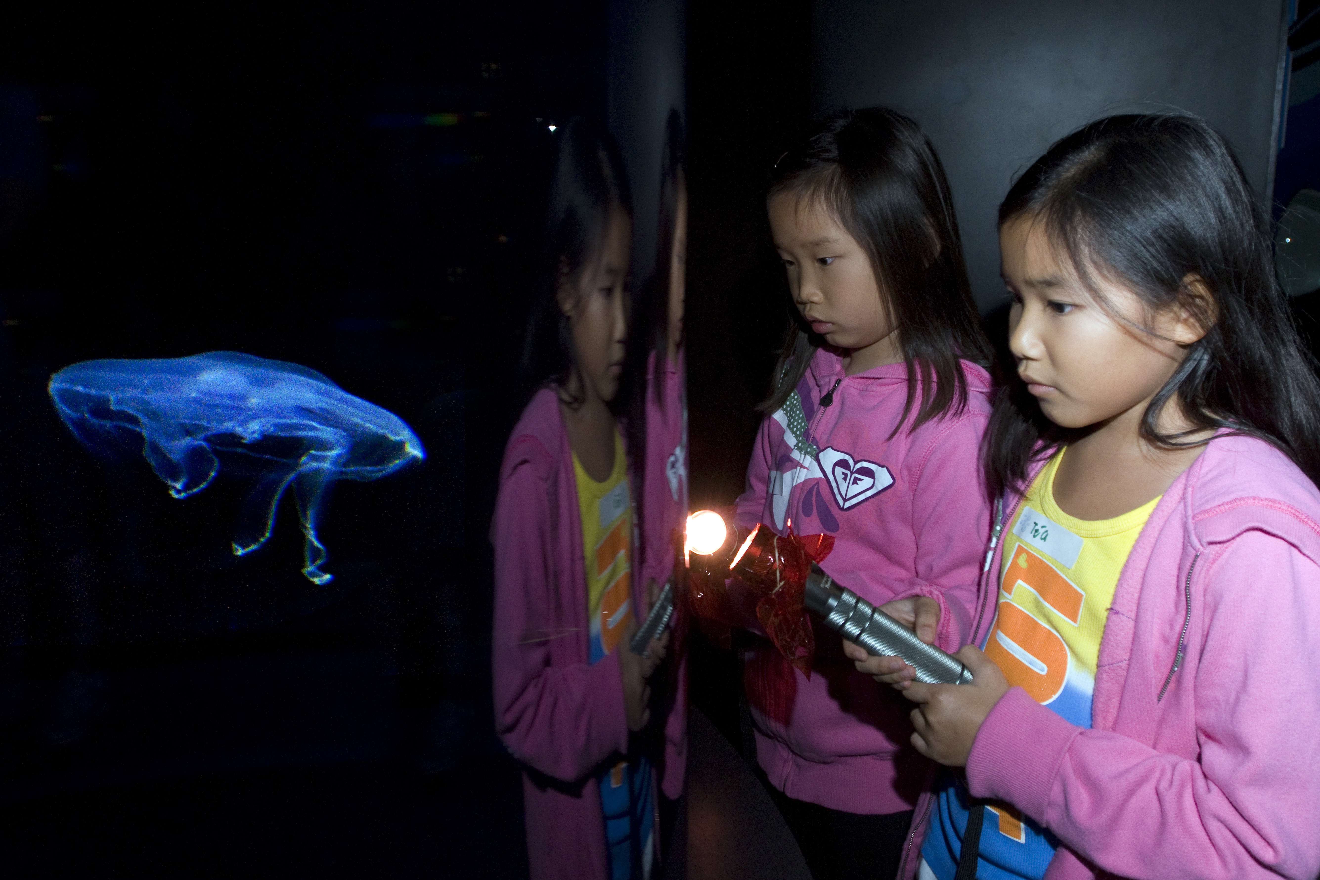 Aquarium After Dark evening event