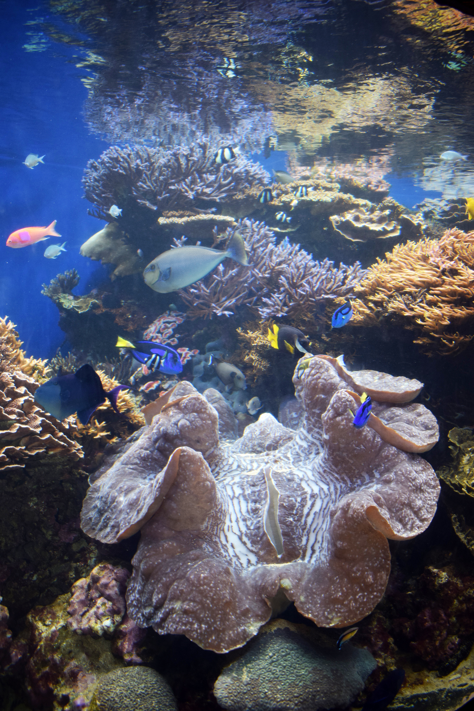 Aloha. Let's talk story.