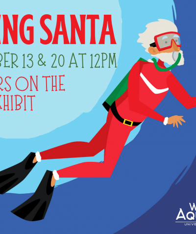 Diving Santa in the reef tank