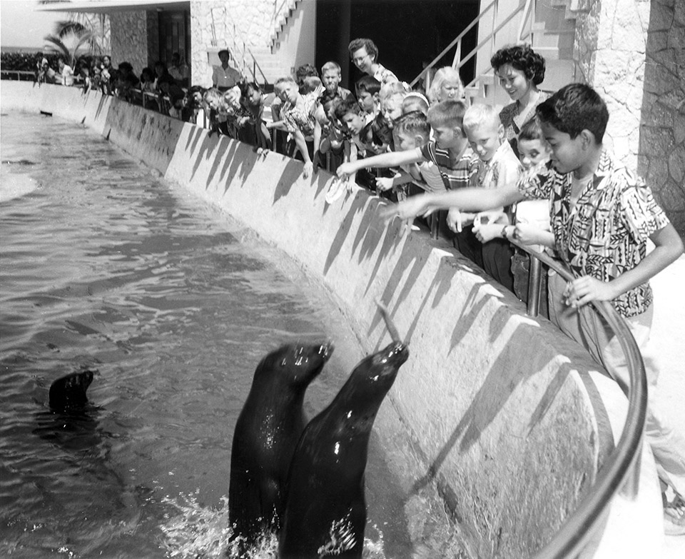 Dr. Leighton Taylor, third Director