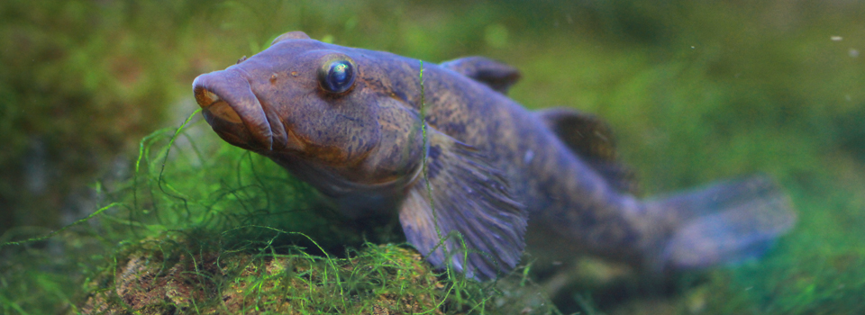 Marine Protected Areas