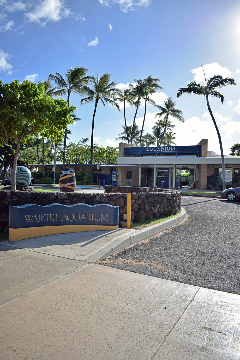 What's new at the tank.