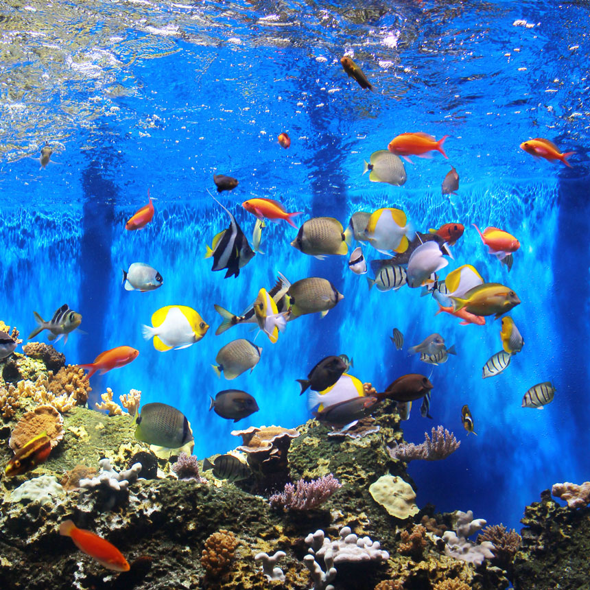 For journalists & filmmakers.