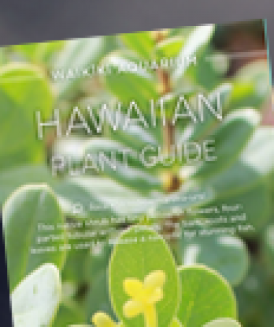 Plant tour at the Aquarium