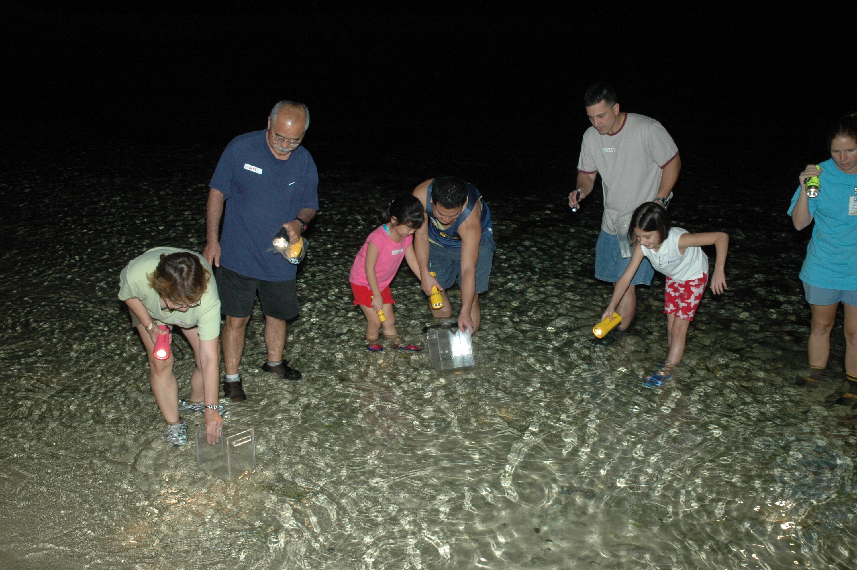 Reef galleries lit at night