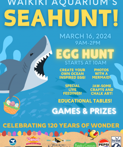 Sea Hunt citizen science