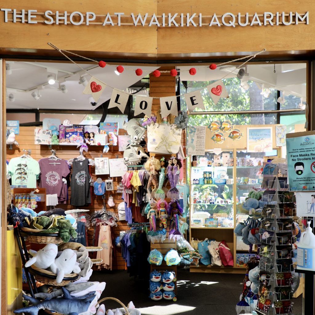 Take a piece of the reef home.