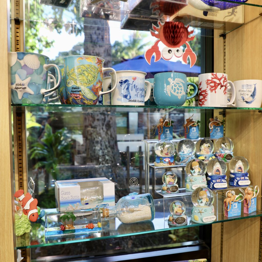 Gift shop merchandise 2