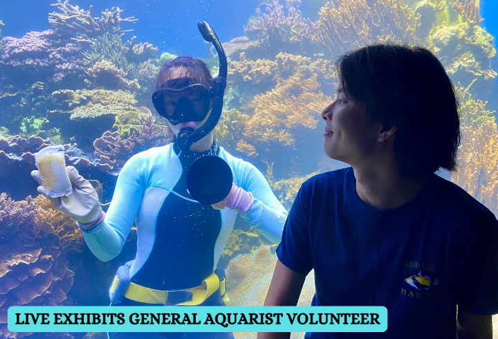 Living Exhibits Aquarist Assistant