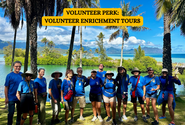 Volunteer Enrichment Tours