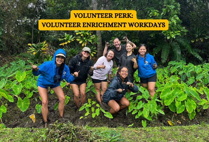 Volunteer Enrichment Workdays