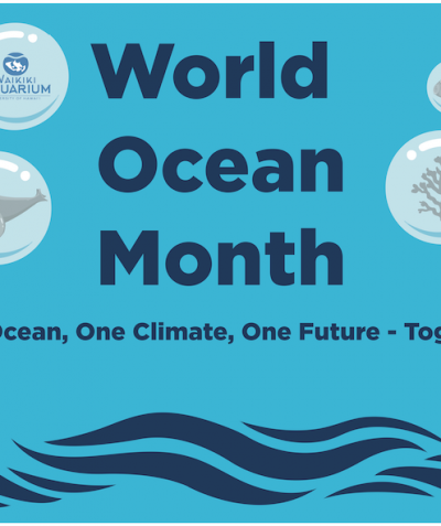World Ocean Month